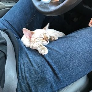 Meet your Posher, Julie